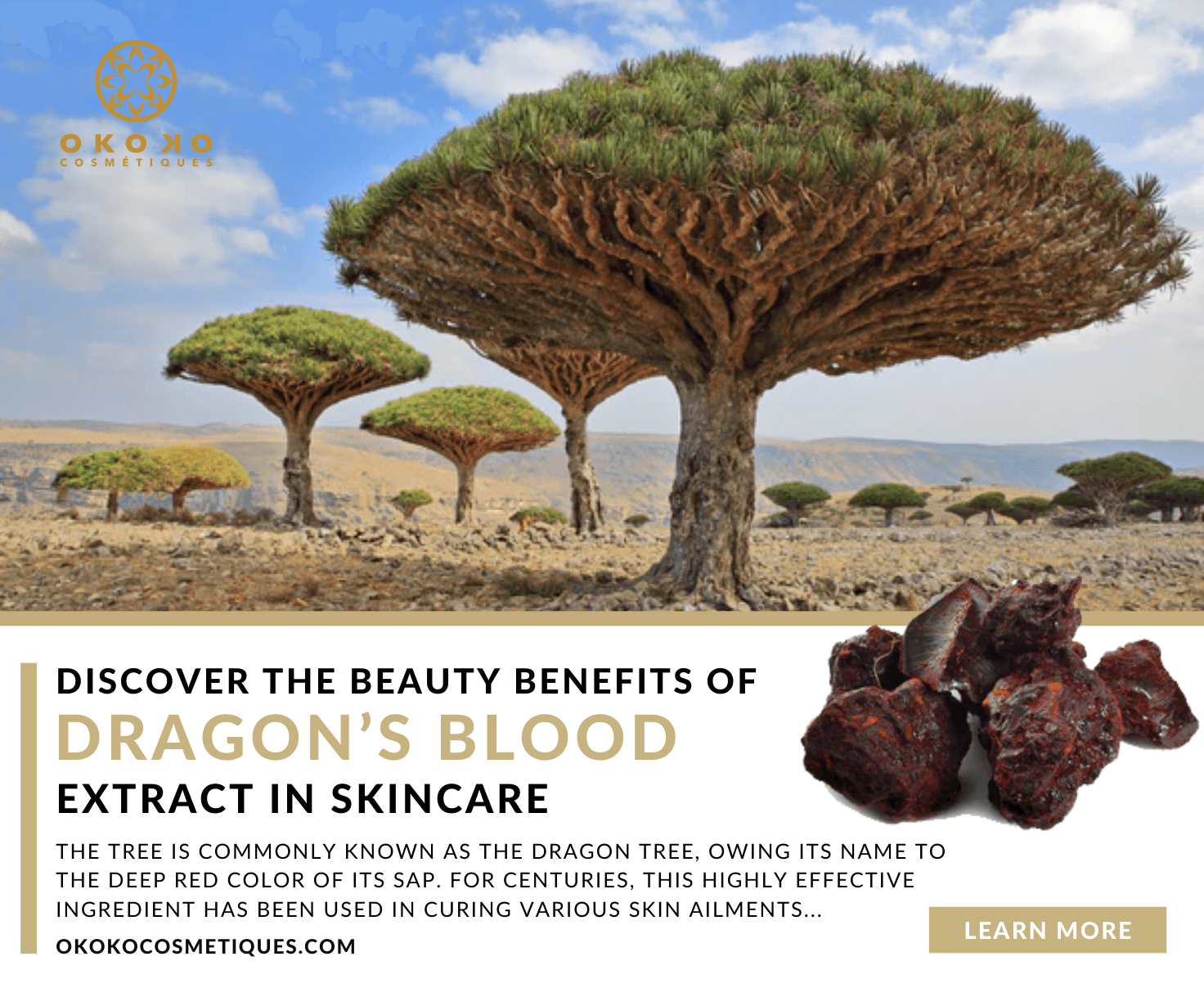 The Benefits Of Dragons Blood Extract For Your Skin - Okoko Cosmétiques Official Site