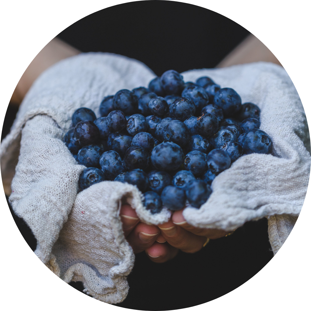 blueberry's in hands