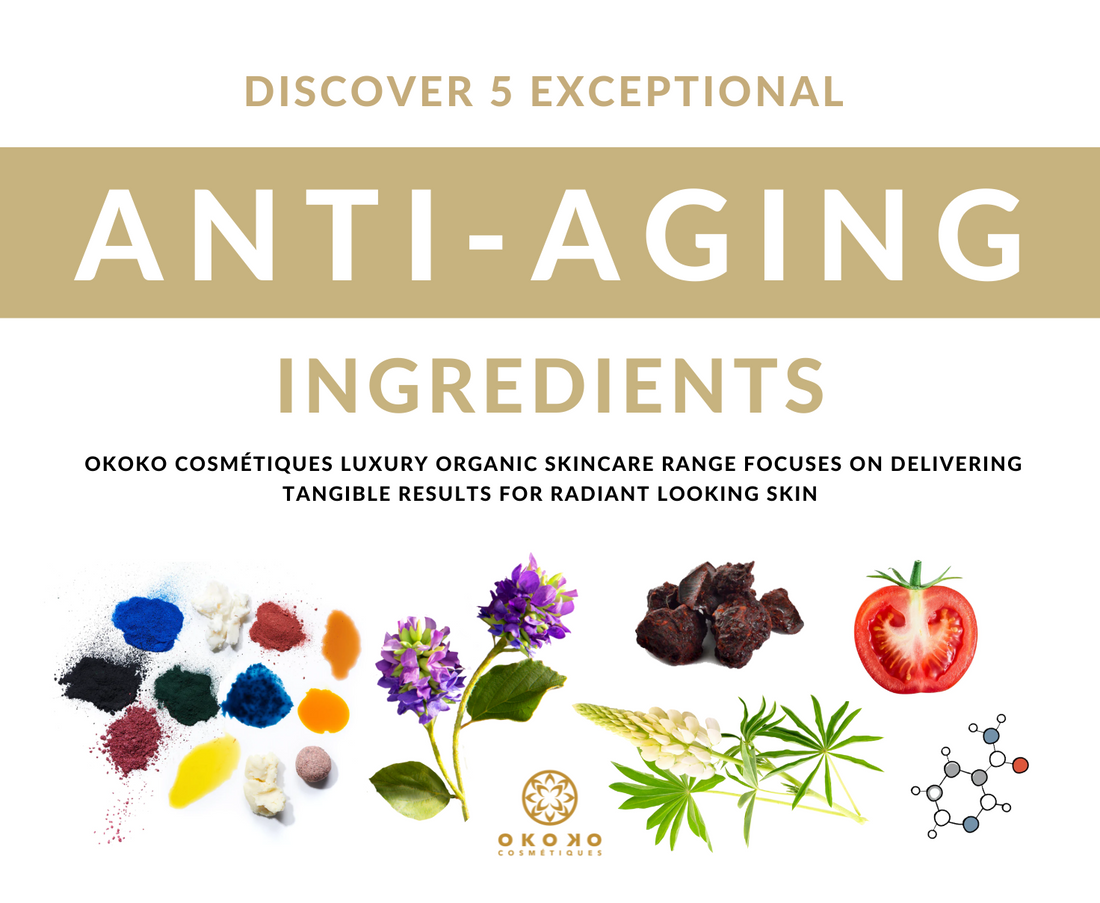 Discover 5 exceptional anti-aging ingredients - Okoko Cosmétiques Official Site 