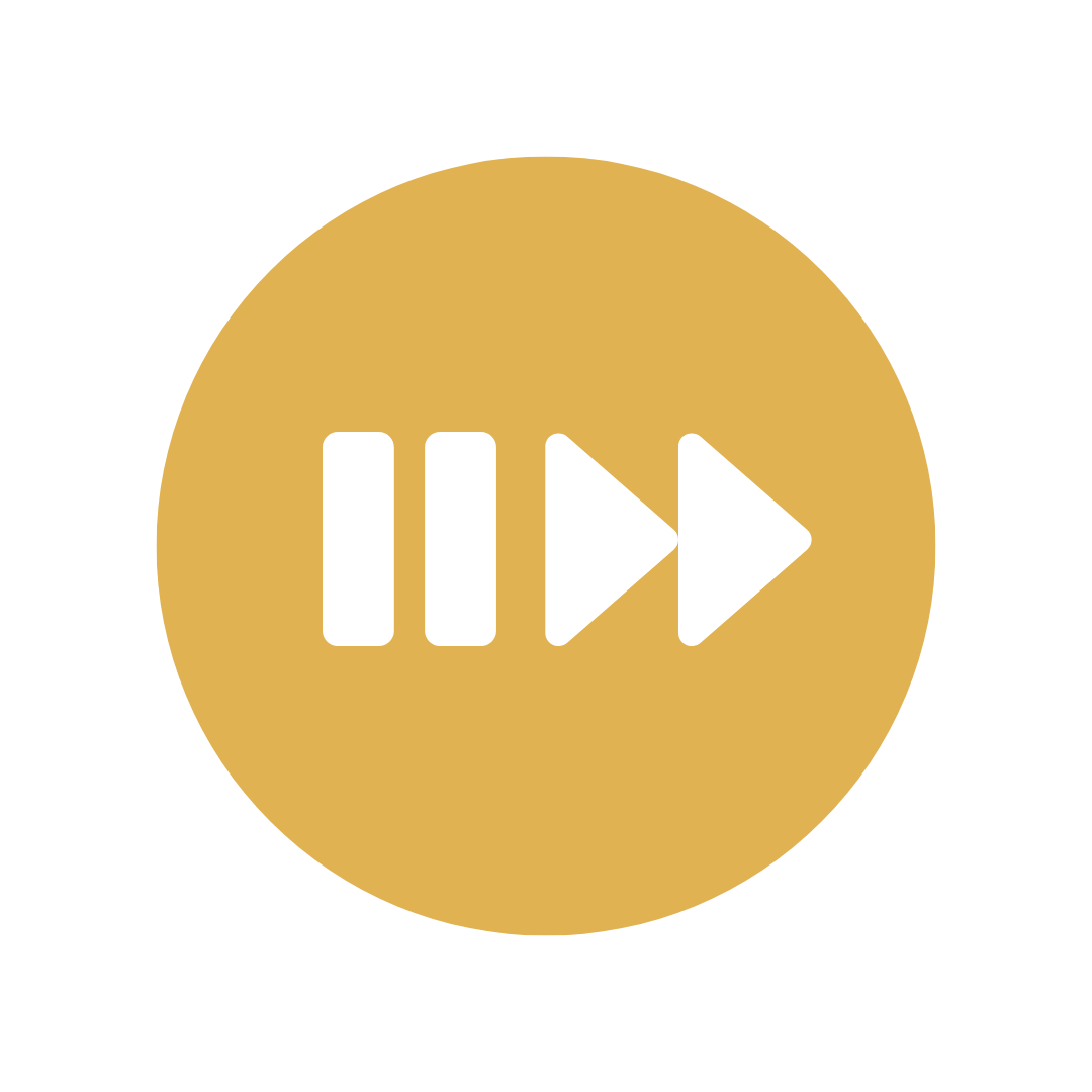 Pause and Forward Icon