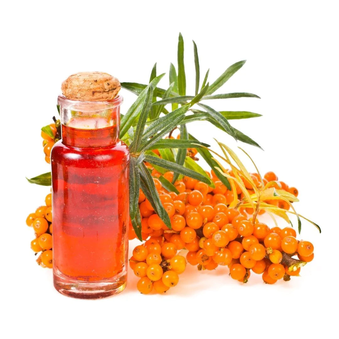 Sea Buckthorn Oil
